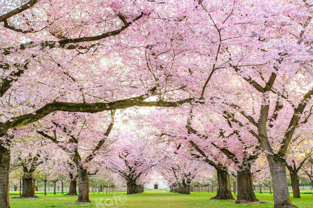 Kate Spring Cherry Blossoms Backdrop Designed by Emetselch