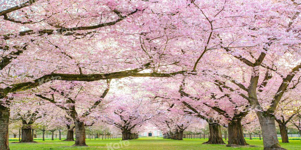 Kate Spring Cherry Blossoms Backdrop Designed by Emetselch - Kate Backdrop AU