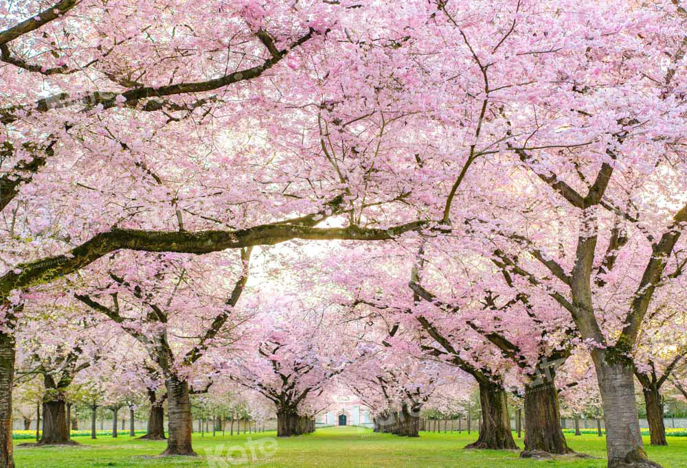 Kate Spring Cherry Blossoms Backdrop Designed by Emetselch