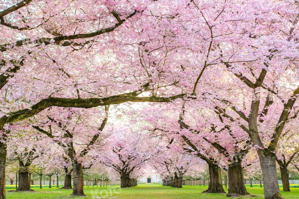 Kate Spring Cherry Blossoms Backdrop Designed by Emetselch