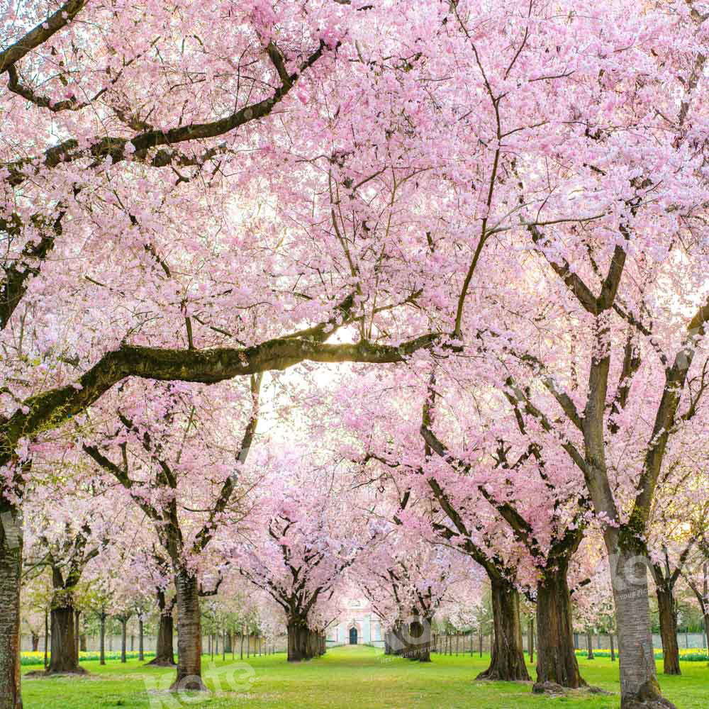 Kate Spring Cherry Blossoms Backdrop Designed by Emetselch