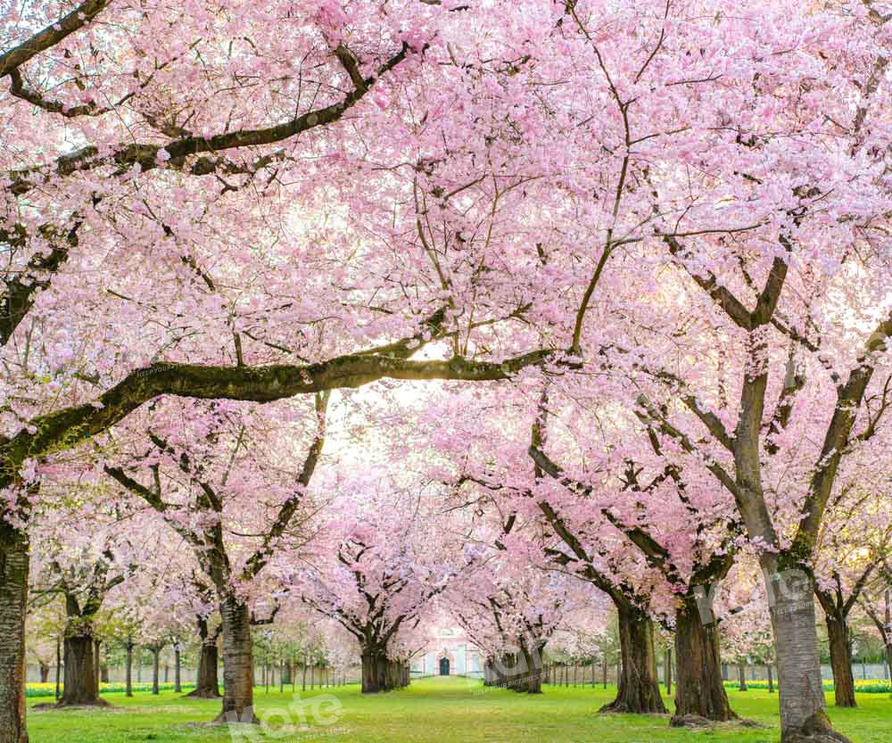 Kate Spring Cherry Blossoms Backdrop Designed by Emetselch