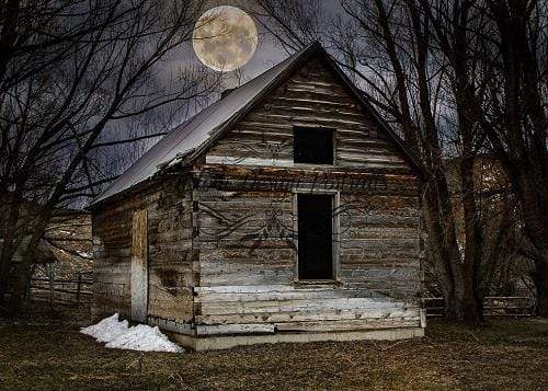Kate Farm Wood House Nightfall Backdrop Designed By Lisa Olson - Kate Backdrop AU