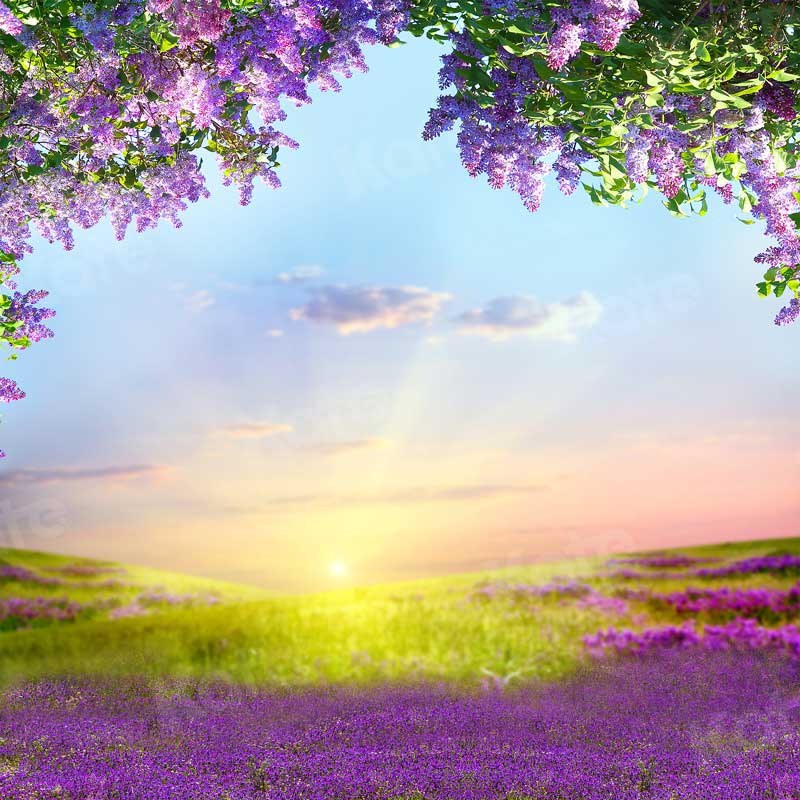 Kate Outdoor Purple Flowers Scenery Lavender Backdrop - Kate Backdrop AU