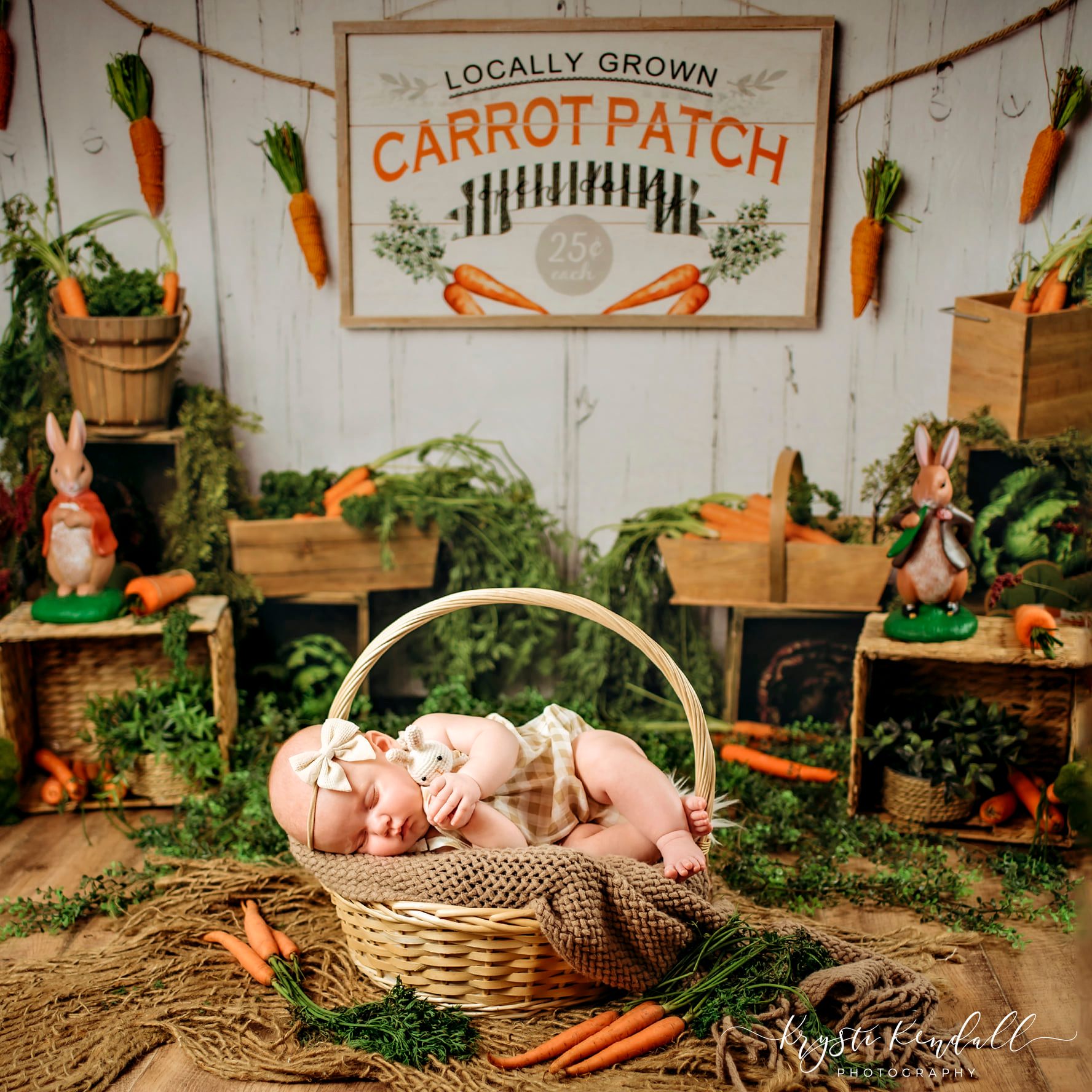 Kate Carrot Patch Easter Backdrop Designed by Megan Leigh Photography - Kate Backdrop AU
