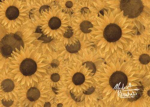 Kate Sunflowers Symphony Backdrop Designed by Modest Brushes