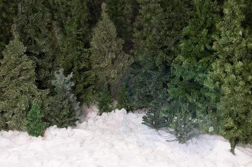 Kate Christmas Trees Farm Snow Backdrop for Photography Designed by Jenna Onyia - Kate Backdrop AU