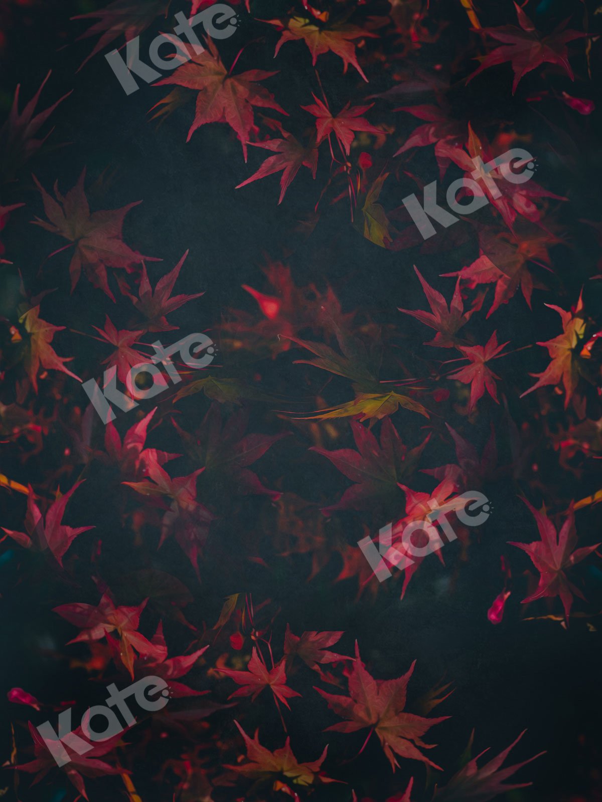 Kate Fine Art Red Leaves Backdrop for Photography