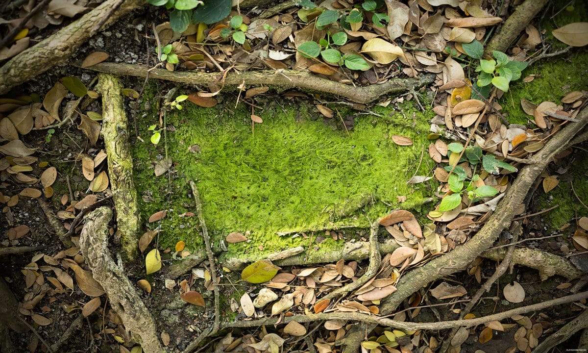Katebackdrop AU Forest Branches Leaves rubber floor mat