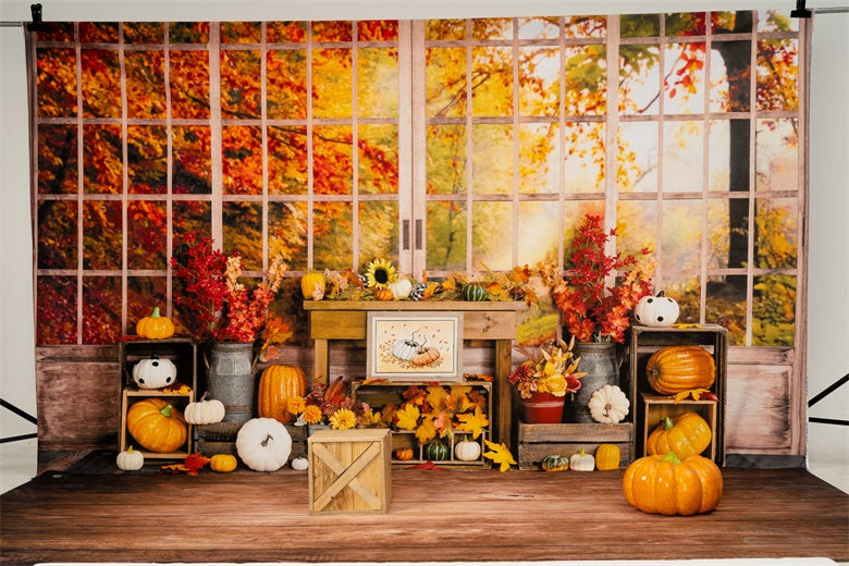 Kate Autumn Backdrop Pumpkin Halloween Thanksgiving Sunflower Window Designed by Uta Mueller Photography