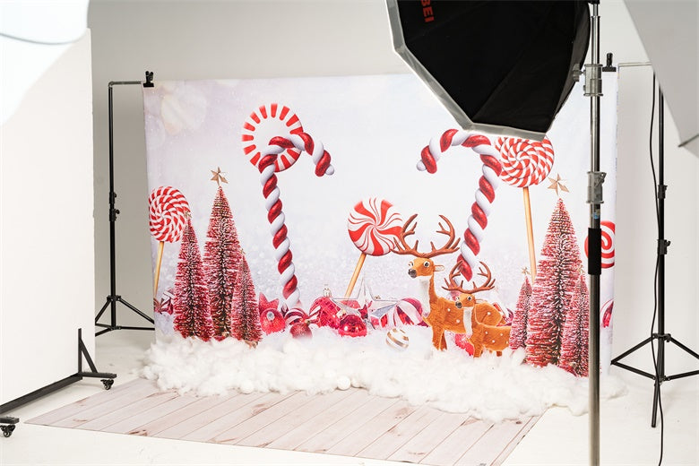 Kate Christmas Snow Elk Candy Backdrop+Kate White Retro Wooden Wall Rubber Floor Mat - Kate Backdrop AU