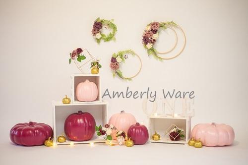 Kate 1st Birthday Pumpkins Backdrop for Photography Designed by Amberly Ware