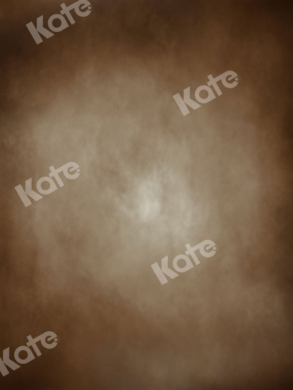 Kate Brown Abstract Old Master Backdrop for Photography