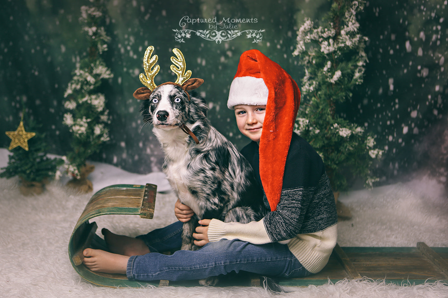 Kate Dazzling Winter Snowy Forest Backdrop for Photography Designed by Modest Brushes - Kate Backdrop AU