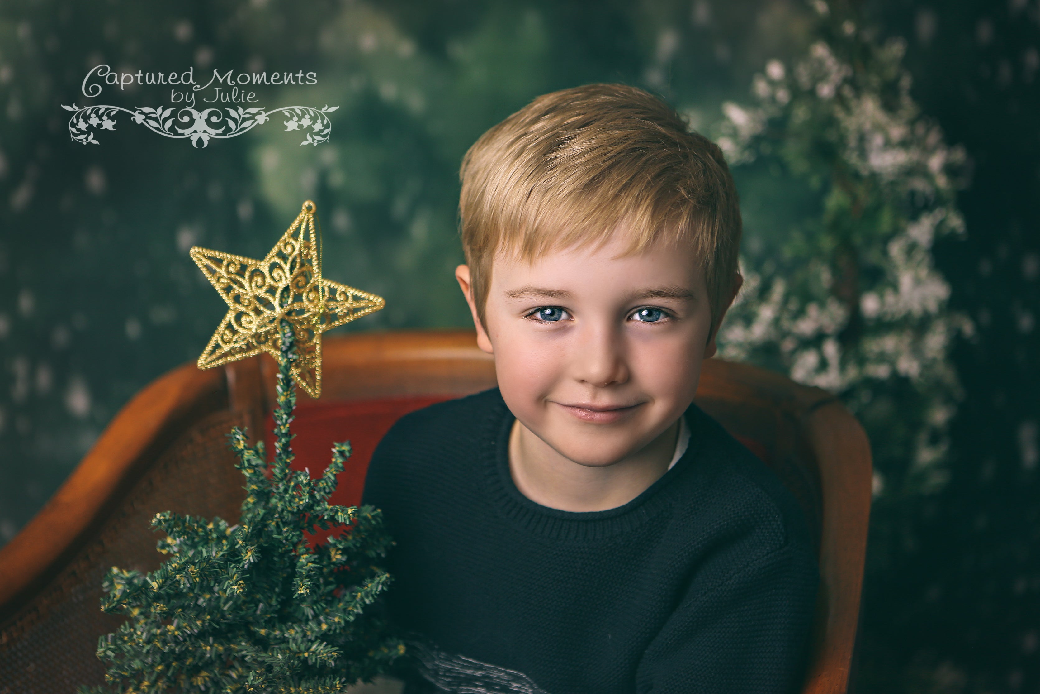 Kate Dazzling Winter Snowy Forest Backdrop for Photography Designed by Modest Brushes - Kate Backdrop AU