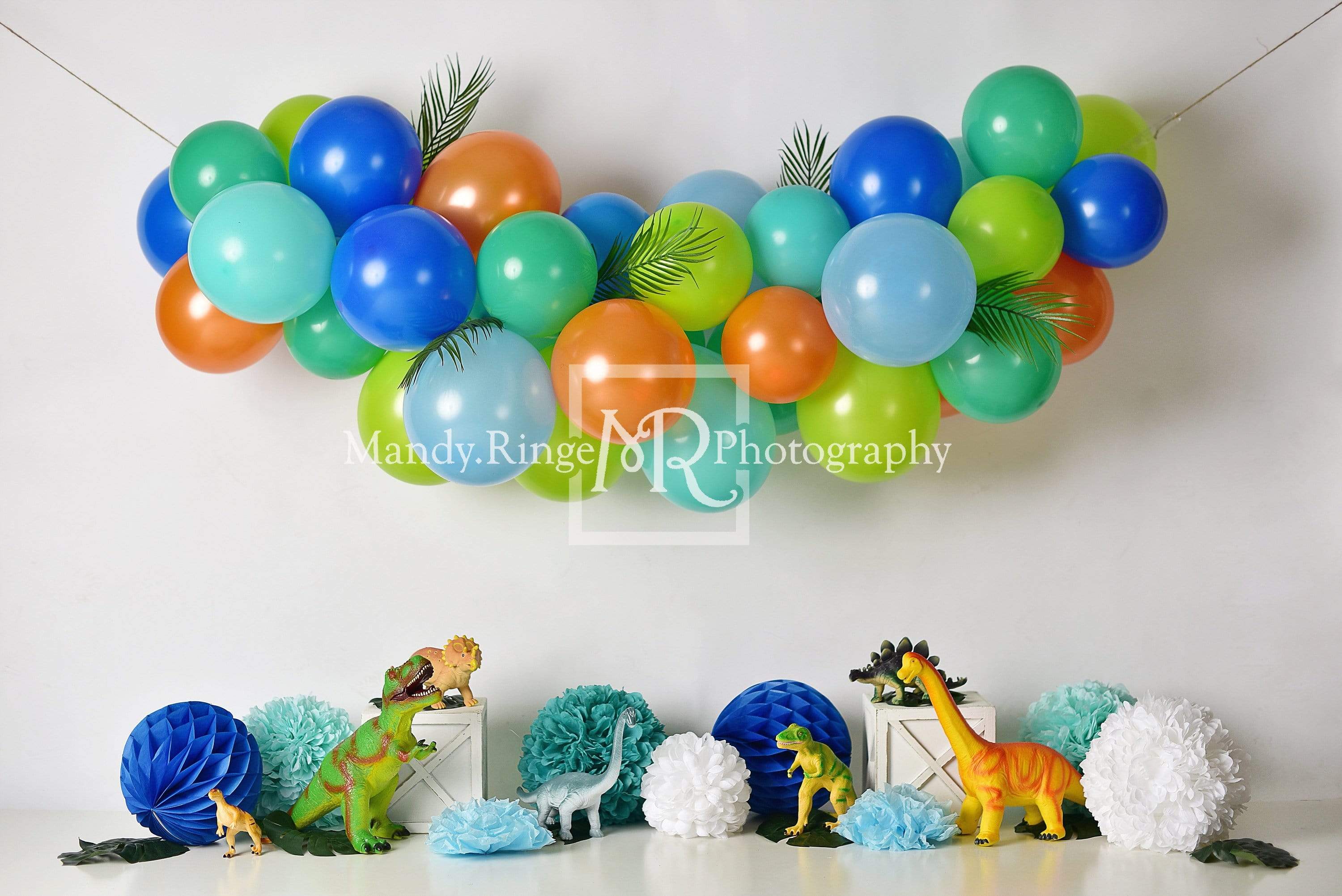 Kate Dinosaur Birthday with Balloons Backdrop for Photography Designed By Mandy Ringe Photography - Kate Backdrop AU
