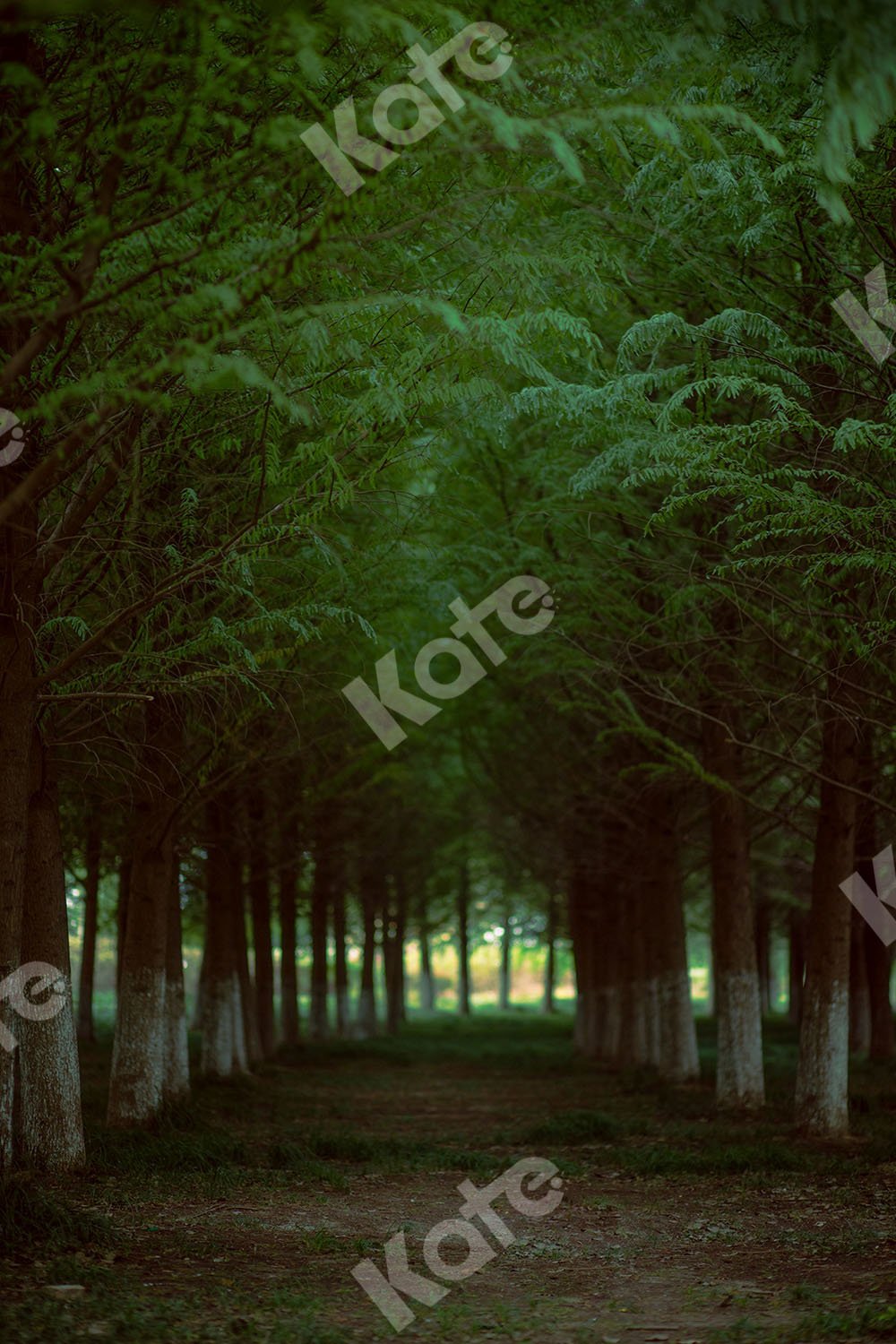 Kate Summer Backdrop Forest Road Designed by Emetselch - Kate Backdrop AU