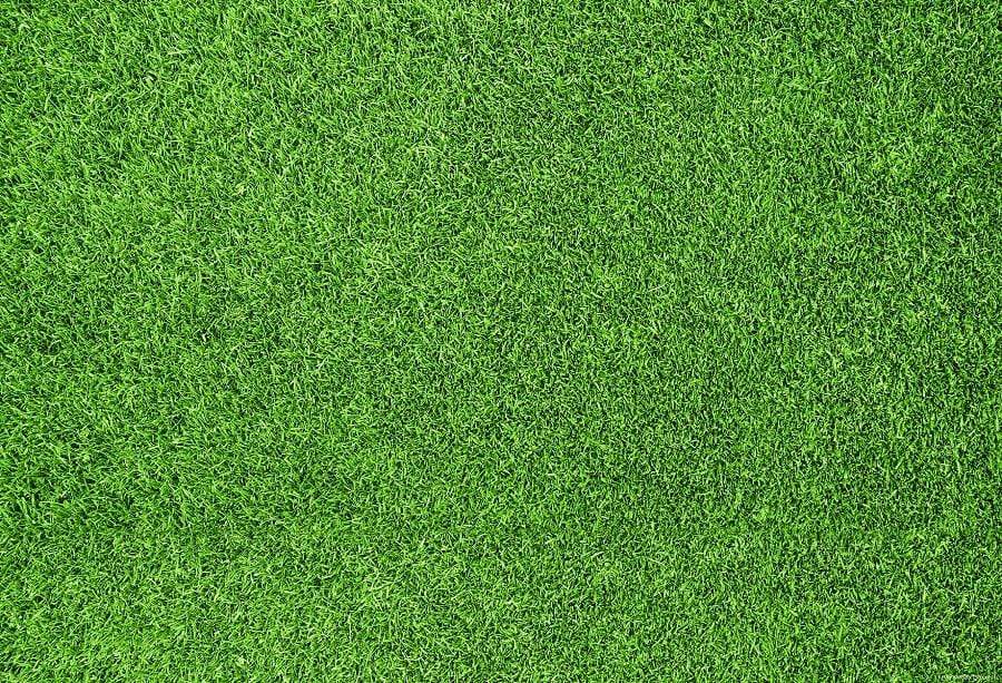 Katebackdrop AU Green Grassland Spring/Easter Rubber Mat Floor Drop