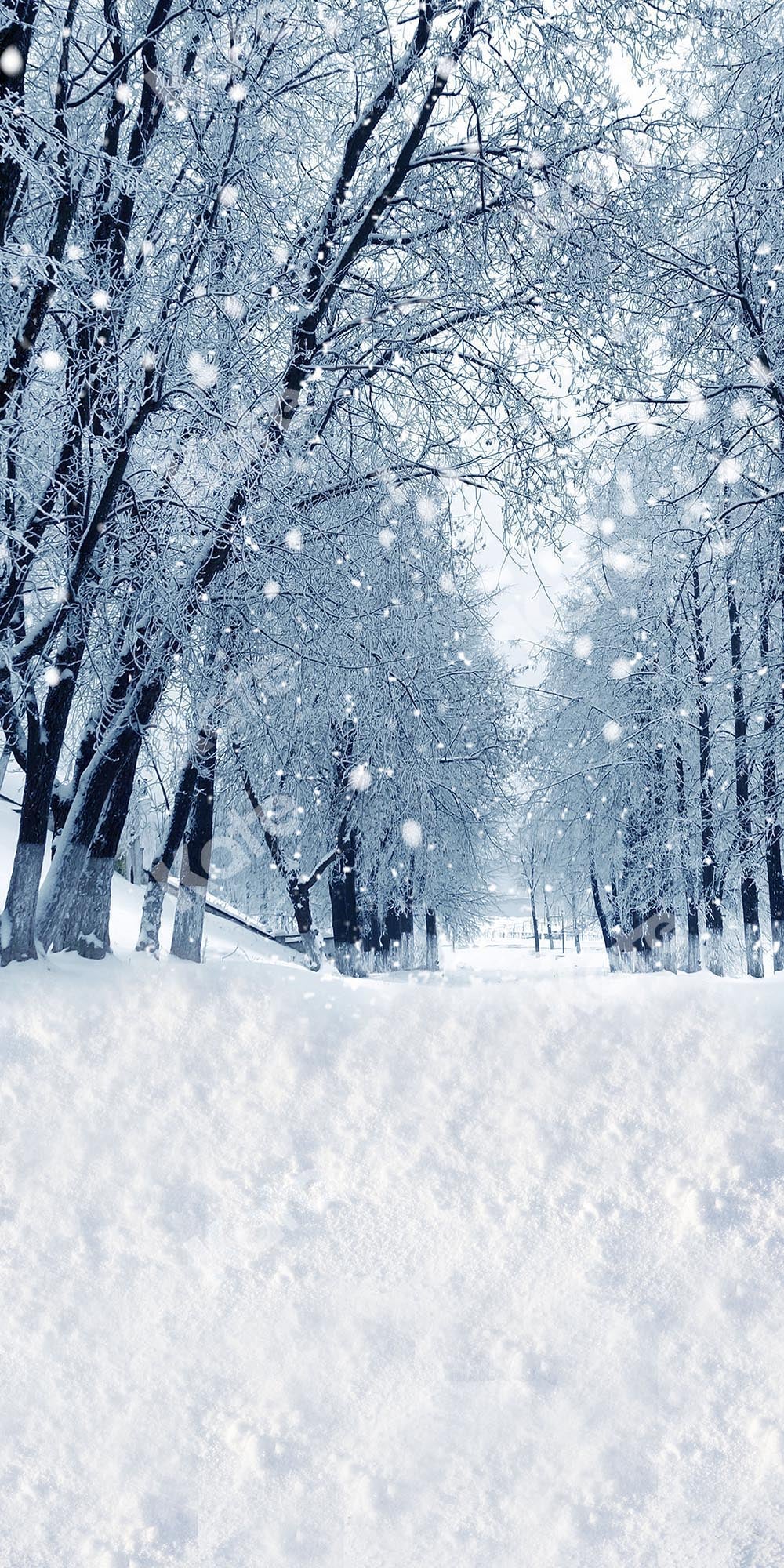 Kate Sweep Winter/Christmas Snow Forest Backdrop Designed by Chain Photography - Kate Backdrop AU