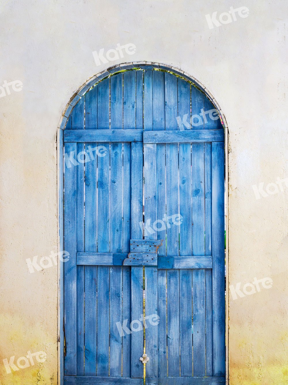 Kate Summer Blue Wooden Door Backdrop Designed by Jia Chan Photography