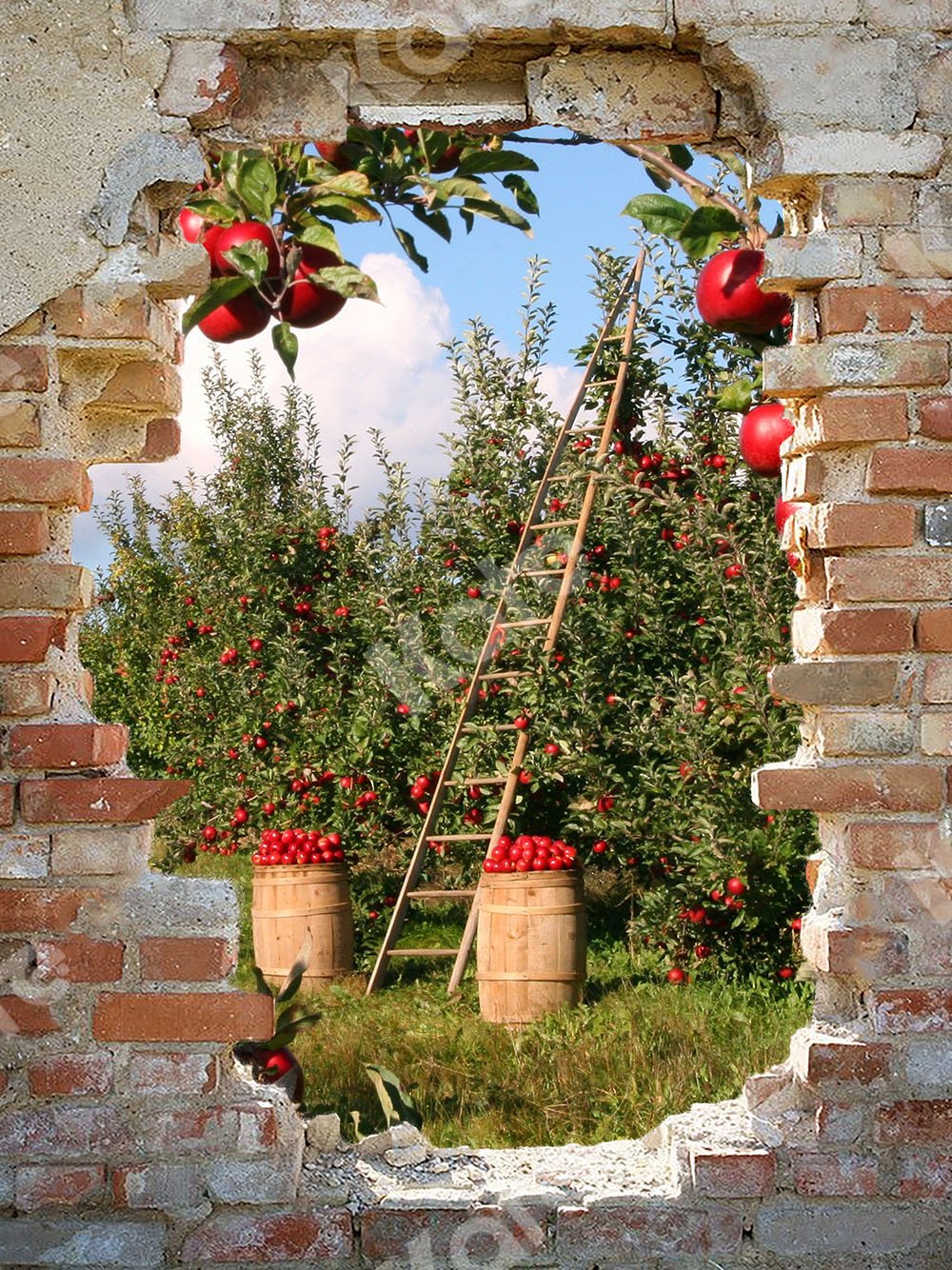 Kate Apple Orchard Backdrop with Broken Wall Designed by Chain Photography - Kate Backdrop AU