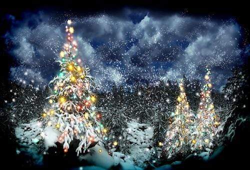 Kate Frozen Winter Christmas Snowy Trees Backdrop for Photography - Kate Backdrop AU