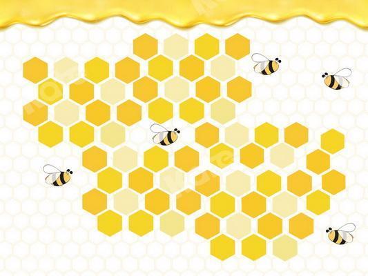 Kate Bee Honeycomb Honey Birthday Backdrop Designed By JS Photography - Kate Backdrop AU
