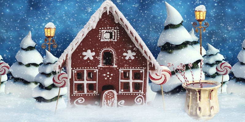 Kate Christmas Gingerbread House Snow Backdrop for Photography