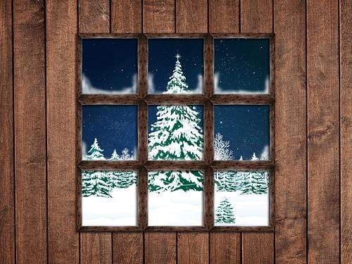 Kate Christmas Window Snow View Wooden Backdrop for Photography Designed By Jerry_Sina