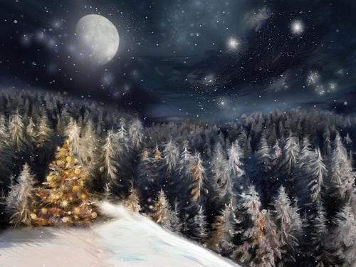 Kate Winter Dream Christmas Night Trees Backdrop for Photography Designed By Jerry_Sina - Kate Backdrop AU