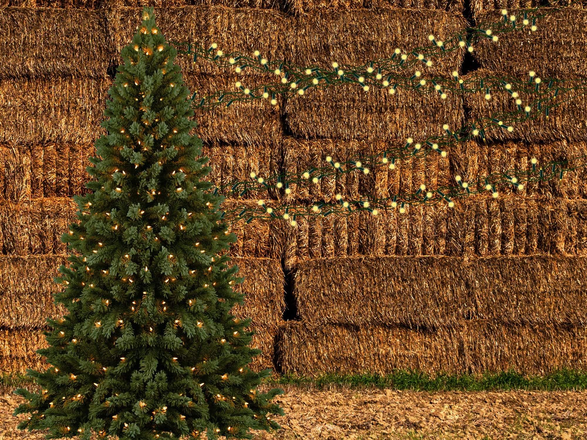 Kate Autumn Pine Trees Haystack Backdrop Designed By Jerry_Sina