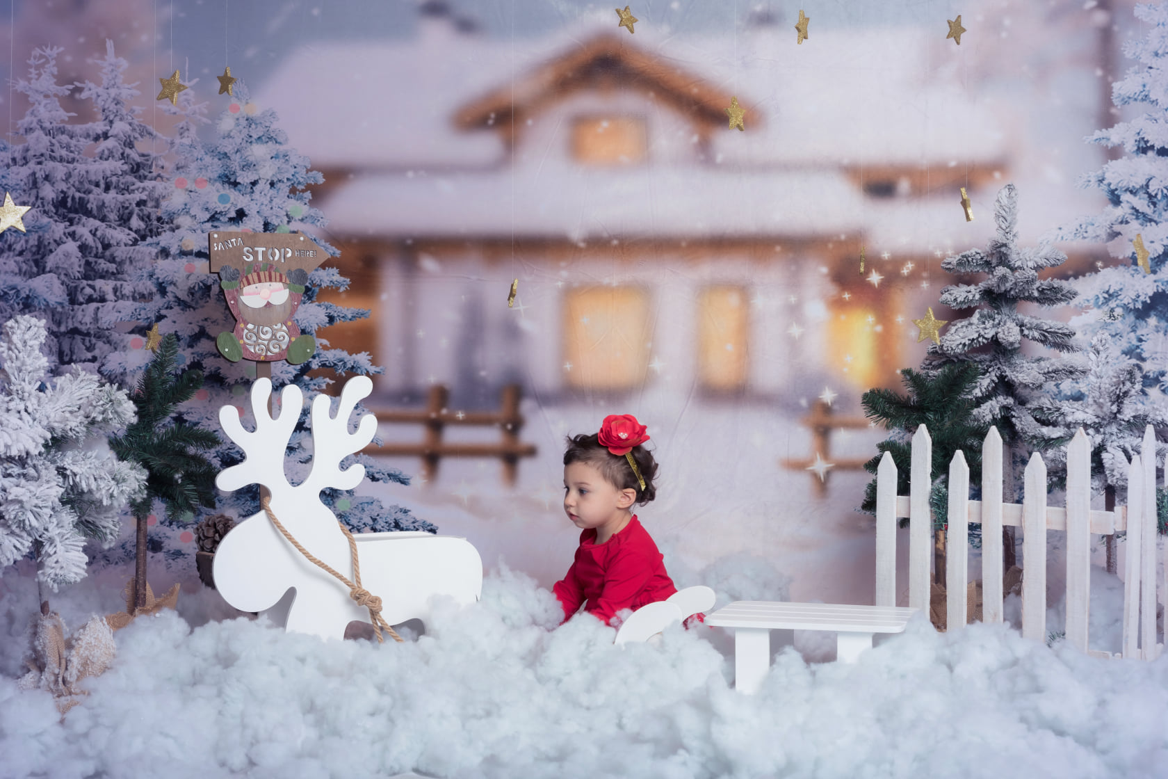 Kate Christmas Winter Trees House Backdrop Designed By Jerry_Sina - Kate Backdrop AU