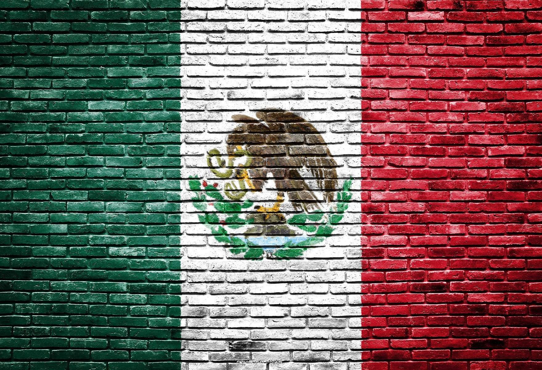 Kate Mexico's National Fag Painted On Bricks for Photography - Kate Backdrop AU