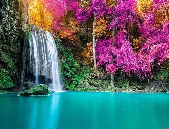 Katebackdrop£ºKate Waterfall Blue Lake Colorful Flower Backdrop