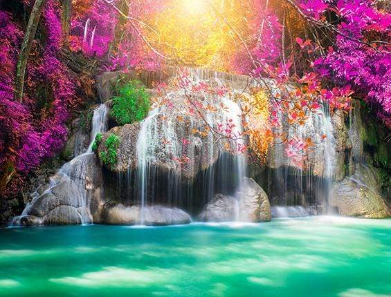 Katebackdrop£ºKate Waterfall Green Lake Purple Flower Sunshine Backdrop