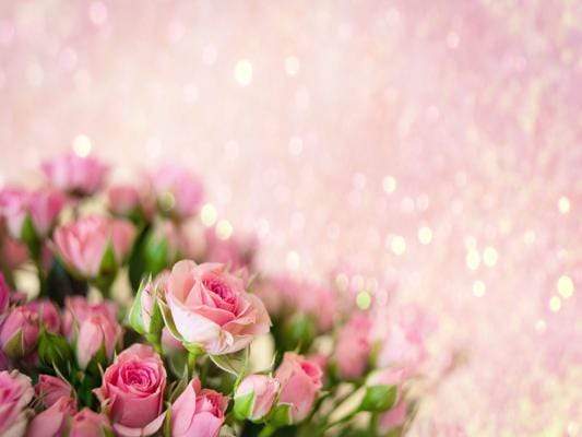 Katebackdrop¡êoKate Pink Flowers Backdrop for Mother's Day Photography