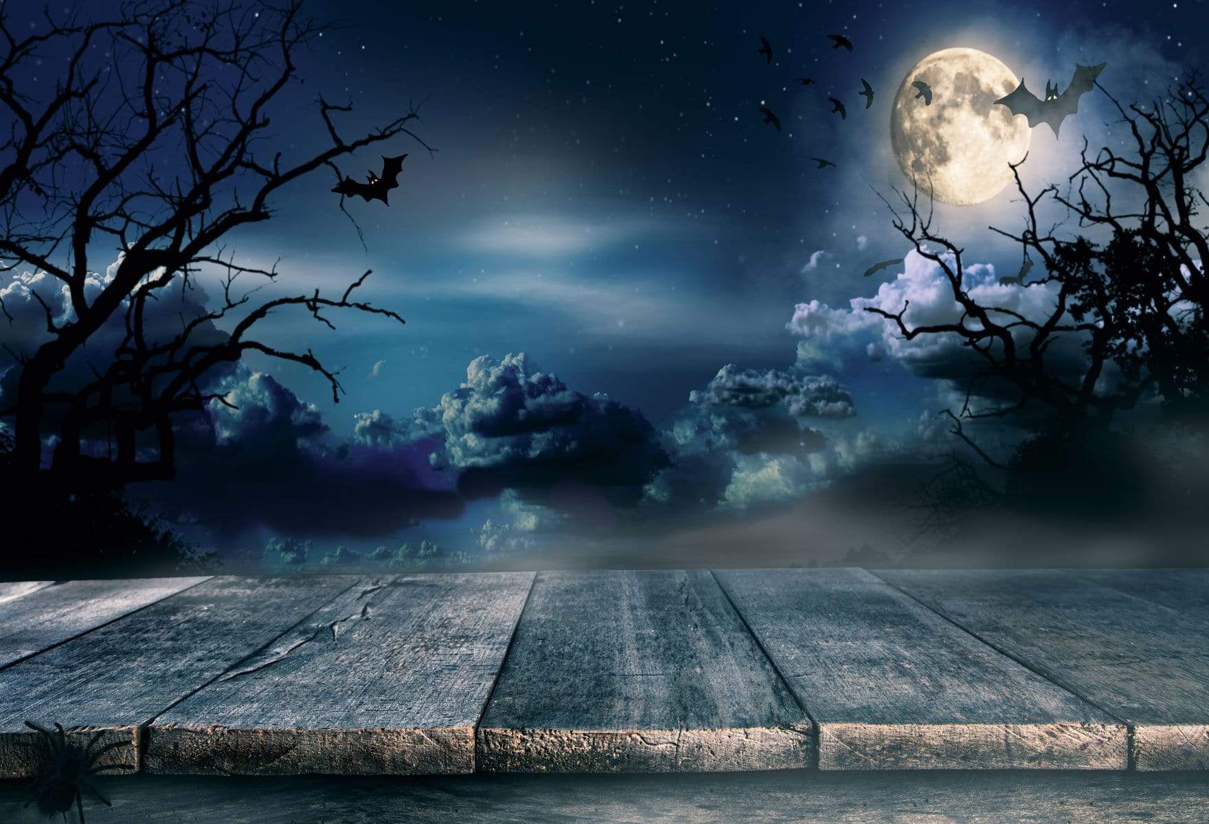 Kate Night Sky Black clouds  Moon  Crow for Pictures - Kate Backdrop AU