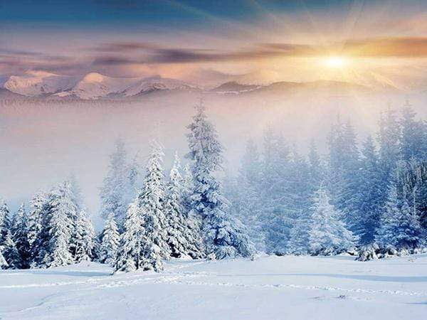 Katebackdrop£ºKate Christmas Winter Outdoor Scene Sunrise Photo Backdrop