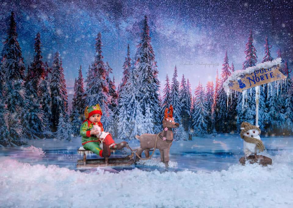 Boy sitting on elk sleigh in front of snowy forest blue night sky backdrop