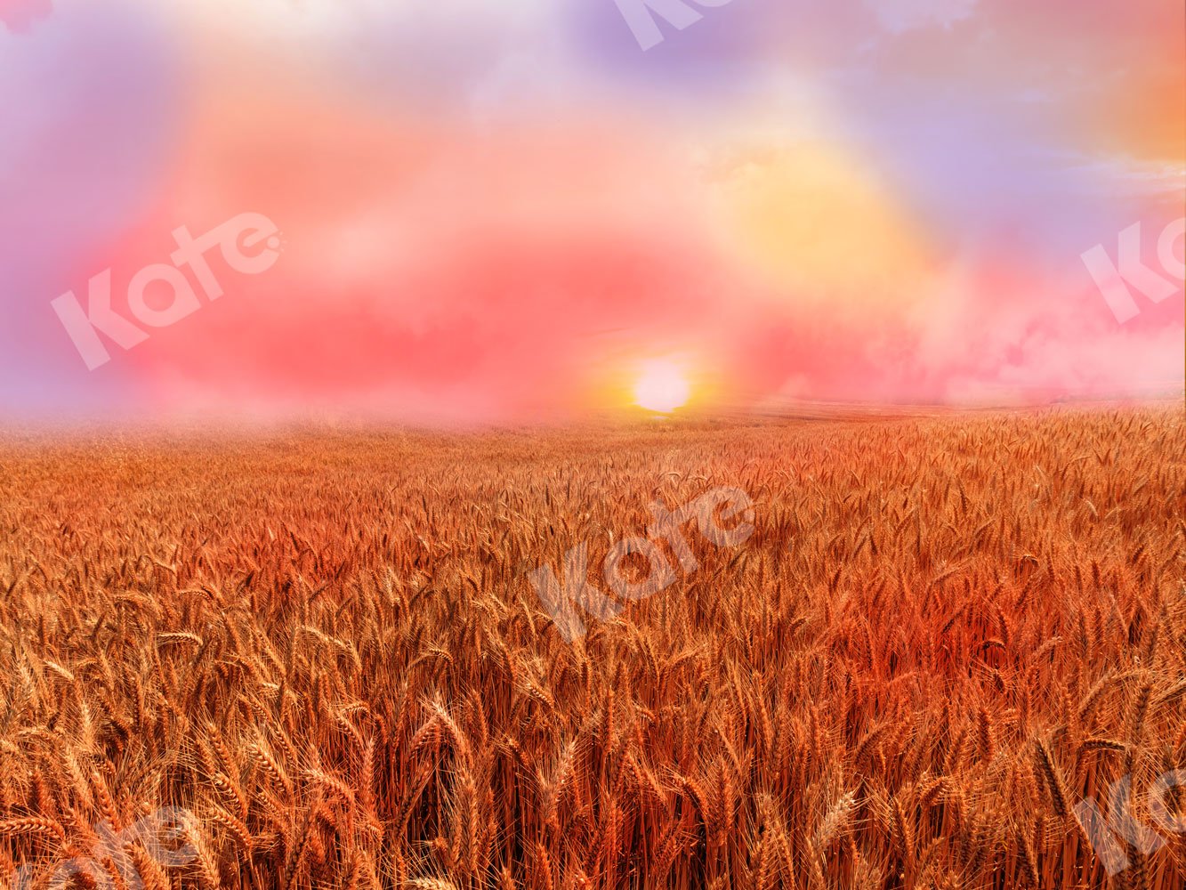 Kate Fall Backdrop Sunset Wheatfield for Photography