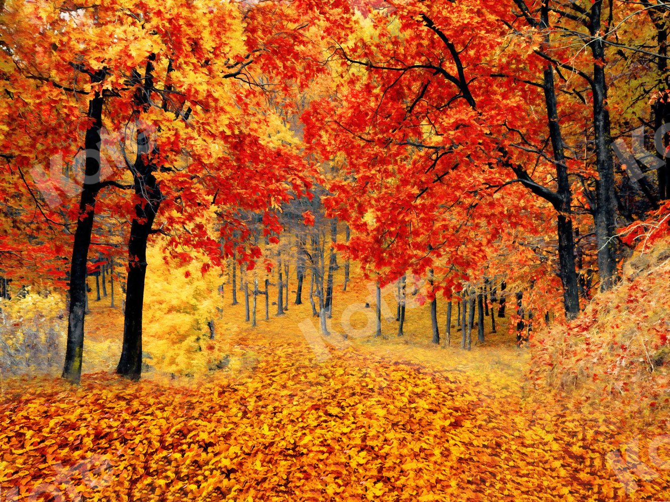 Kate Fall Backdrop Maple Forest for Photography