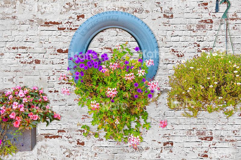 Kate Valentine's Day Florals Wall Backdrop for Photography