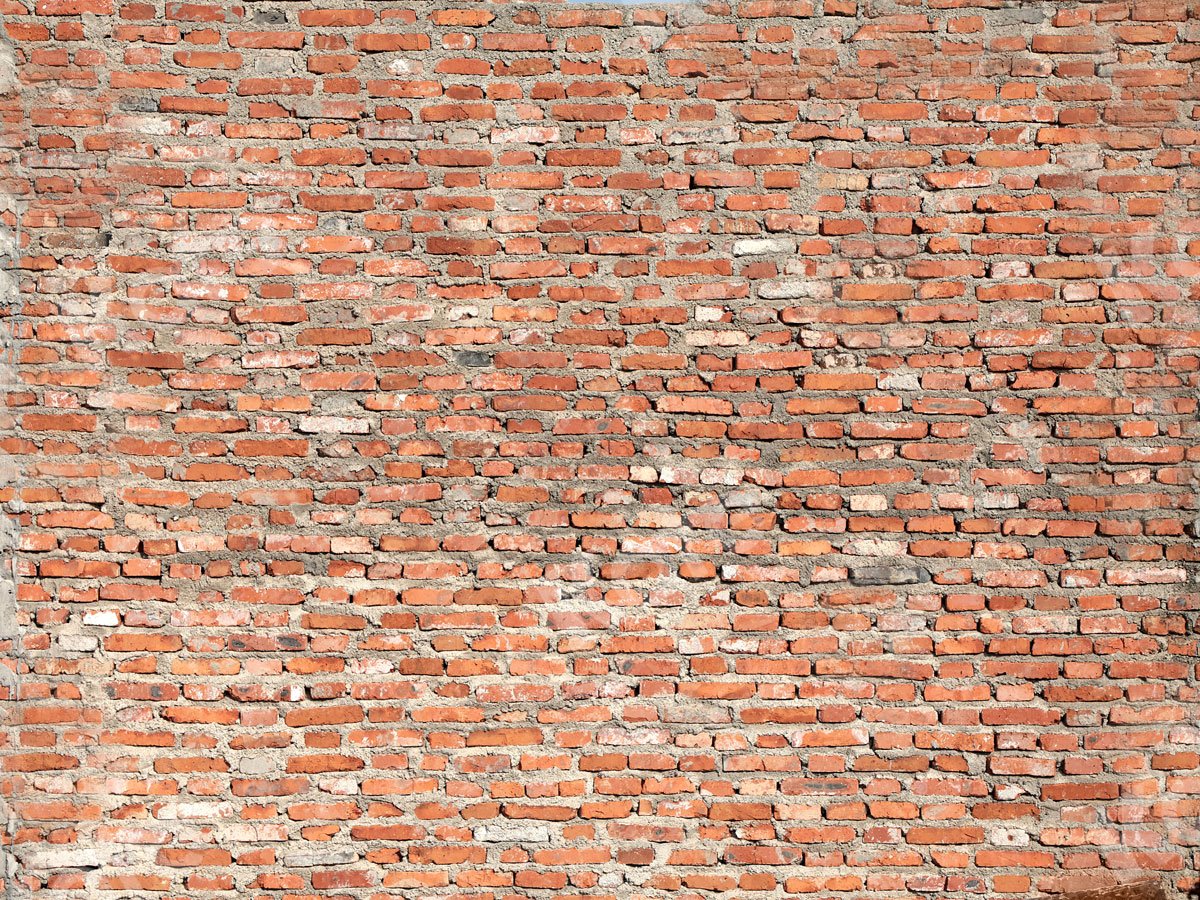 Kate Red Brick Wall Backdrop Designed by Jia Chan Photography