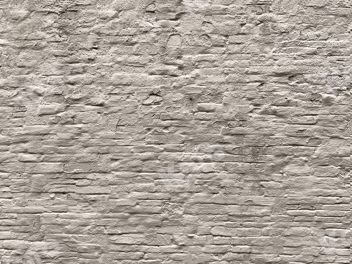 Kate Old Brick Grey Wall Backdrop Designed by Jia Chan Photography