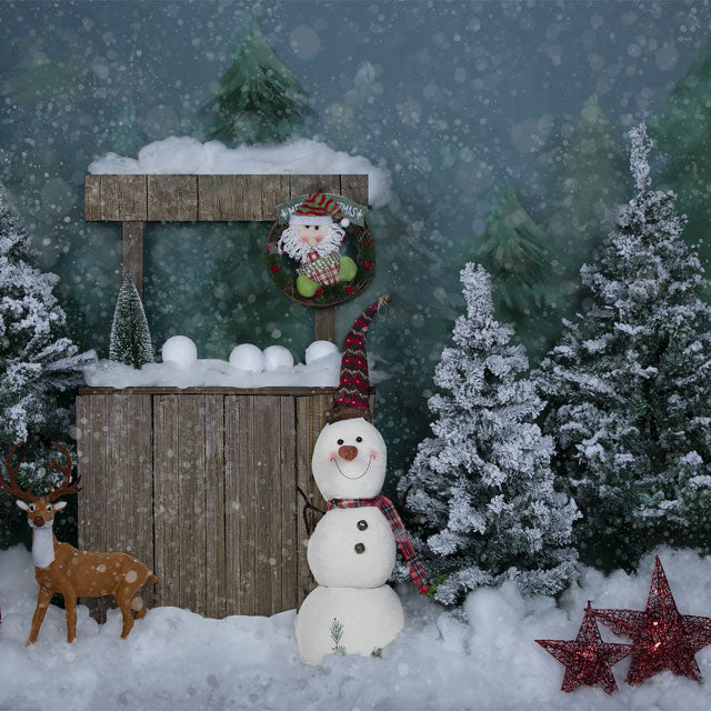 Kate Winter Christmas Backdrop with Snowman for Portrait Designed by Jia Chan Photography - Kate Backdrop AU