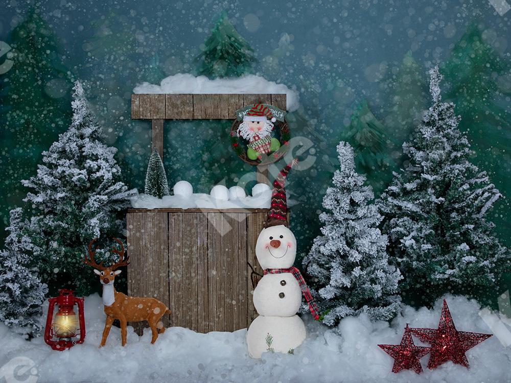 Kate Winter Christmas Backdrop with Snowman for Portrait Designed by Jia Chan Photography - Kate Backdrop AU