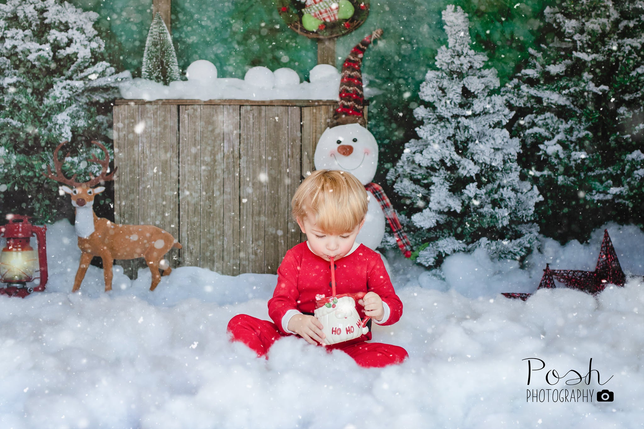 Kate Winter Christmas Backdrop with Snowman for Portrait Designed by Jia Chan Photography - Kate Backdrop AU