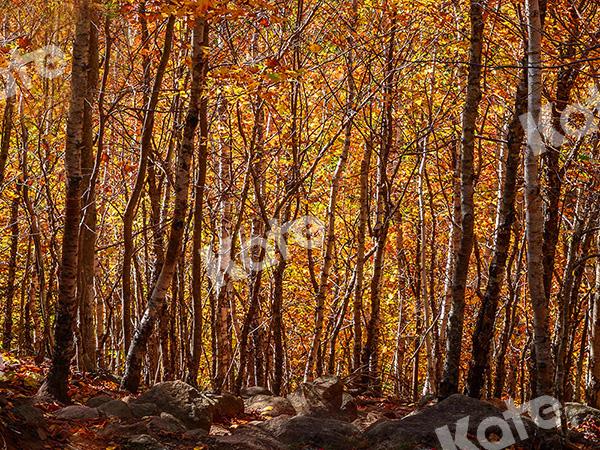 Kate Fall Forest Backdrop Designed by Emetselch