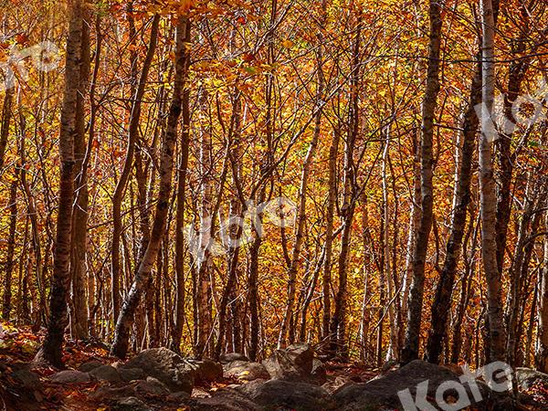 Kate Fall Forest Backdrop Designed by Emetselch - Kate Backdrop AU