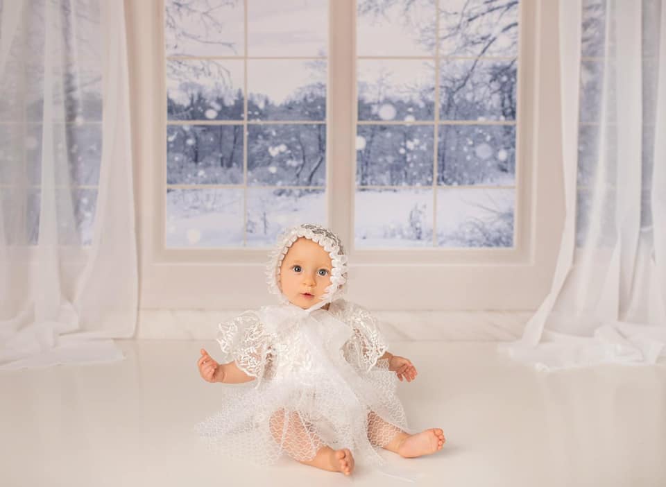 Kate Window Backdrop Winter Snow Garden Designed by Emetselch - Kate Backdrop AU